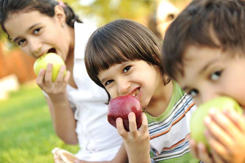Meriendas saludables para niños para crecer mejor